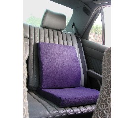 Backbone-Protecting Seat Cushion