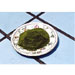 image of Health Food - Moringa Powder
