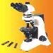 Polarizing Microscope - Result of Microscope