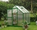 image of Flowers - plastic greenhouse