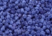 image of Herb Medicine - Blueberry P.E
