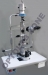 Slit Lamp - Result of Microscope