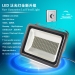 Dimmable LED Floodlight--HNS-FS300W/LED Floodlight