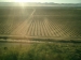 image of Other Agriculture - Agriland for Jatropha Cultivation