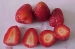 IQF strawberry, IQF kiwifruit, IQF pear, IQF pinea - Result of Carrot