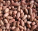 image of Nut - Peanut kernels - Rich Material, Good Quality,Good