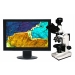 Digital Polarizing Microscope - Result of Video Game