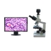Digital Biomicroscope - Result of Educational Software