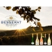 Besserat De Bellefon - Champagne - Result of Lip Gloss Bottle