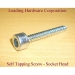 image of Self Tapping Screws - Socket Screws