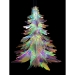 Christmas Tree Decorations - Result of Window