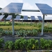 Solar Power System For Farm - Result of Kona Blend Vanilla Macadamia