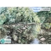 image of Watercolor Scenery - Watercolour Scenery Painting