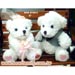 The Bride & Groom Teddy Bears