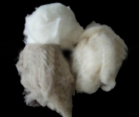 dehaired cashmere fibers