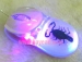 Real Scorpion Insect Amber USB Optical Mouse - Result of notebook