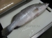 Barramundi Fish - Result of Barramundi Fillets