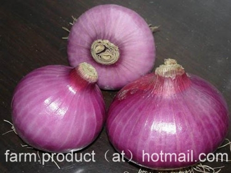onion,fresh onion,Chinese onion supplier