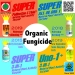 Best Organic Fungicide