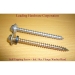 Hex Flange Head Screw - Result of Agricultural Equipments