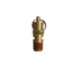 Brass Safety Valve - Result of car exhaust system